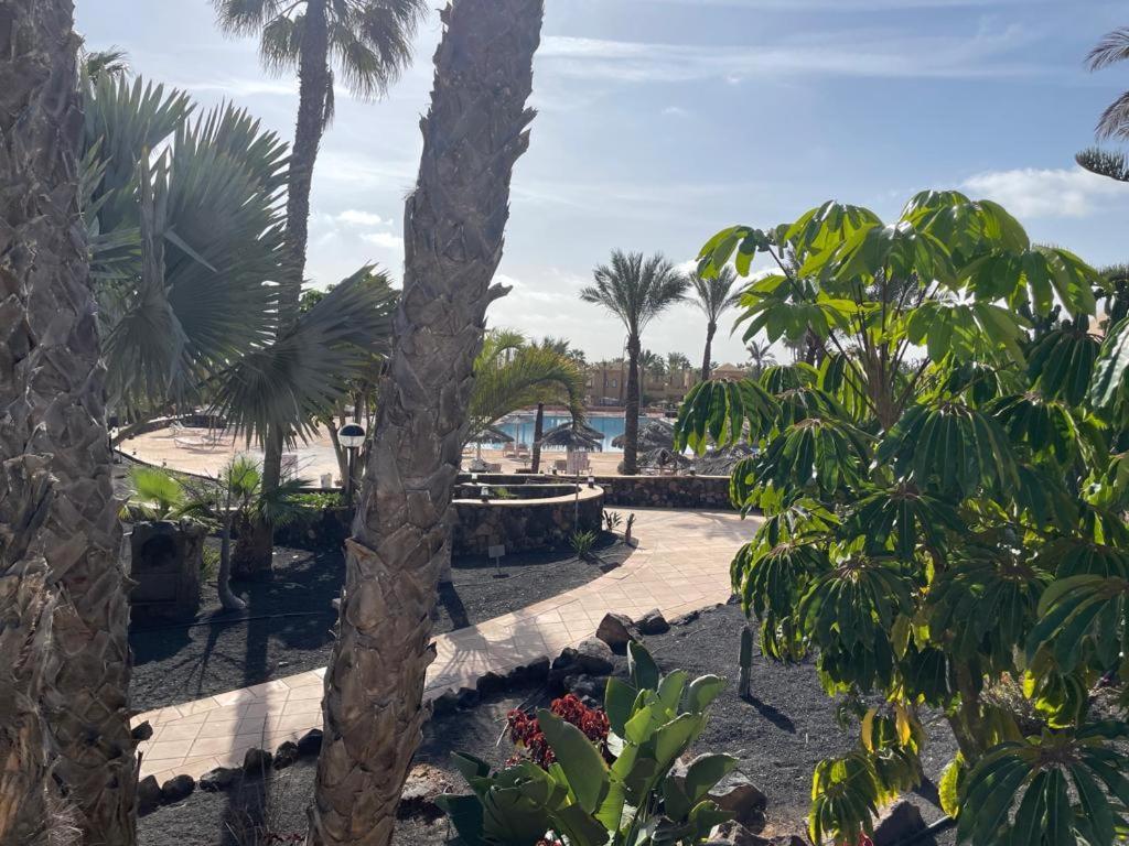 Casa Mari Y Jose Con Grandes Piscinas Y Wifi Gratis Apartment Corralejo Exterior foto